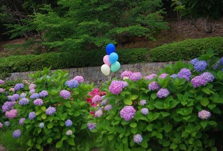 IMGP9651_0608