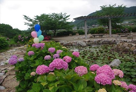 IMGP9687_0608