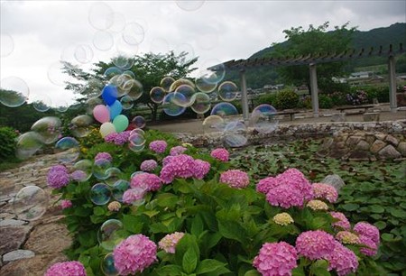 IMGP9694_0608