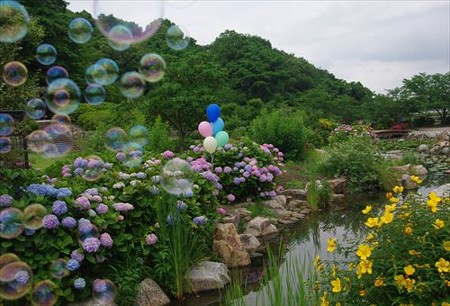 IMGP9795_0608