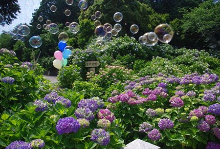 IMGP9949_0608