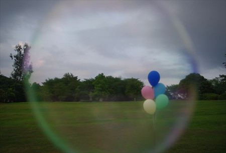 IMGP0364_0608