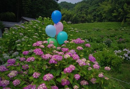 IMGP0424_0614