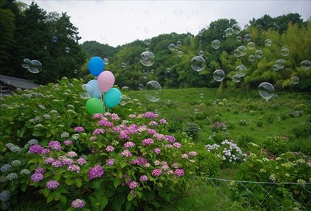 IMGP0509_0614