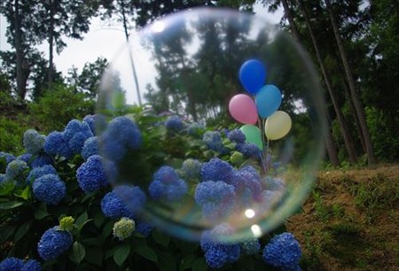 IMGP0610_0614