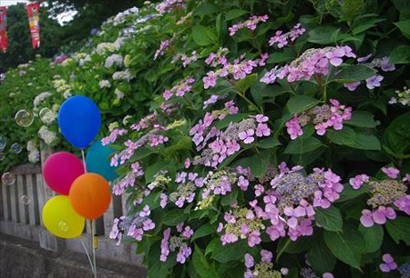 IMGP0907_0614