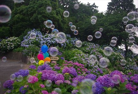 IMGP1137_0614