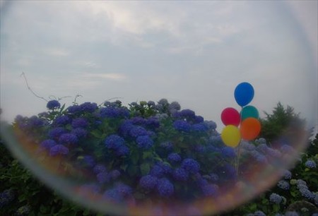 IMGP1365_0614