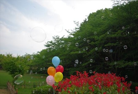 IMGP1442_0615