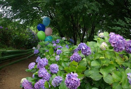IMGP0040_0622