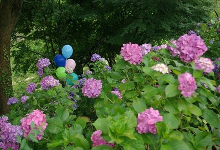 IMGP0058_0622