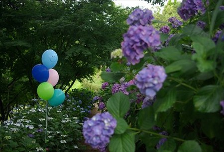 IMGP0146_0622