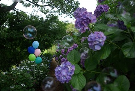 IMGP0169_0622