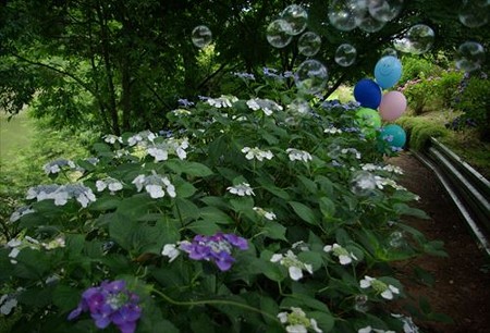 IMGP0202_0622