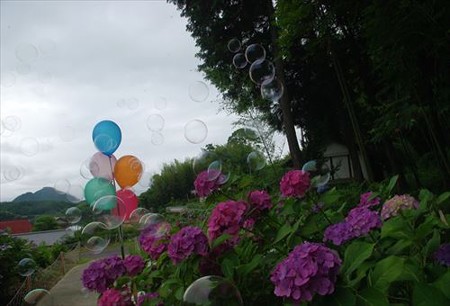 IMGP1725_0628