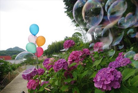 IMGP1740_0628
