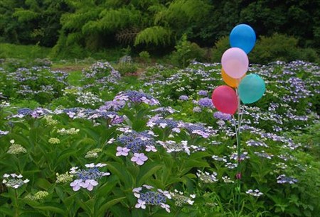 IMGP1761_0628