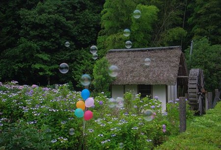 IMGP2102_0628