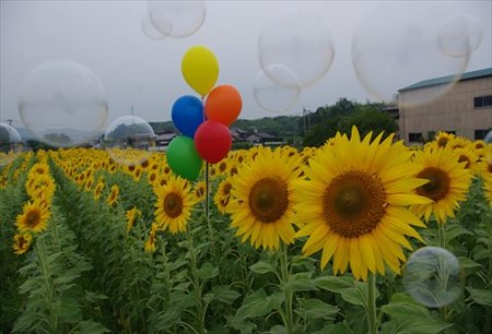 IMGP7475_0703
