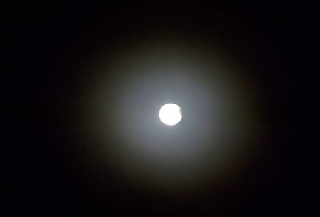 DSCF3068_1008