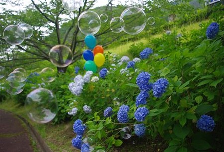IMGP0168_0706