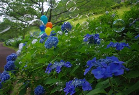 IMGP0177_0706