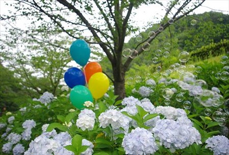 IMGP0195_0706
