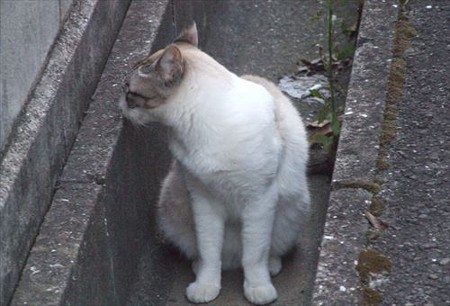 DSCF7751_0711