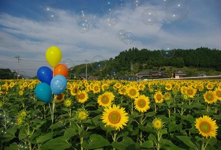 IMGP7849_0712