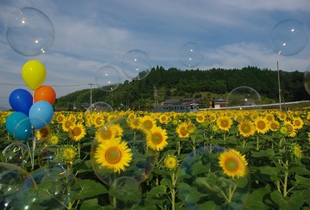 IMGP7873_0712