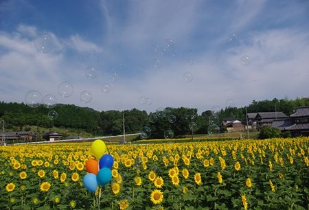 IMGP7939_0712
