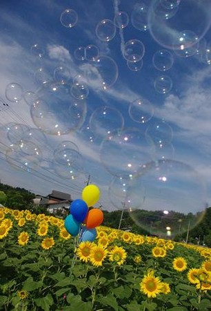IMGP7970_0712