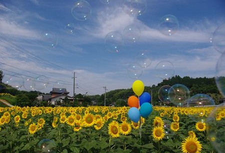 IMGP7996_0712