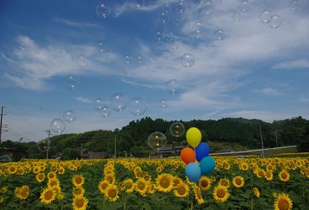 IMGP8019_0712