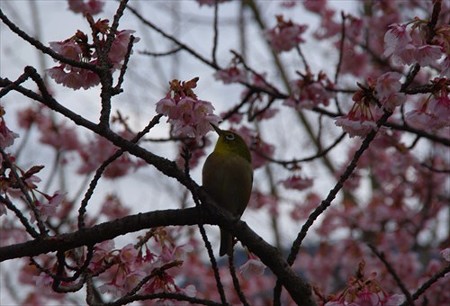 IMGP4621_0222