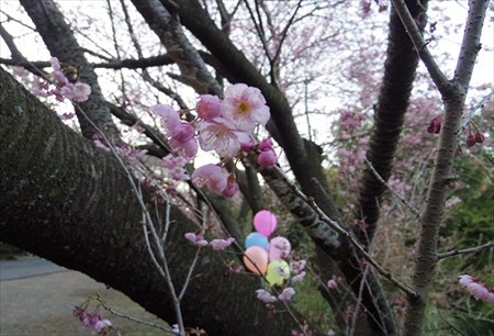IMGP6866_0308