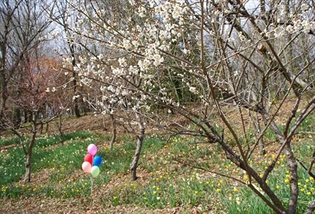 IMGP4876_0308