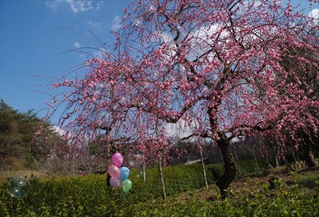 IMGP0295_0314