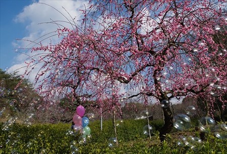 IMGP0380_0314