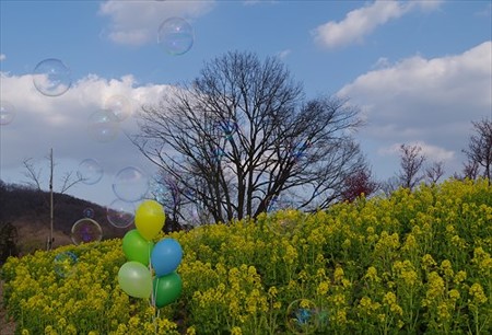 IMGP0515_0212