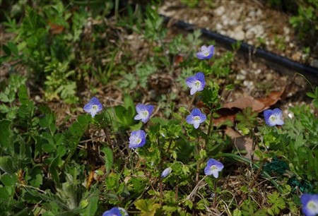 IMGP1265_0321