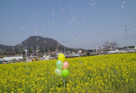 IMGP1710_0322