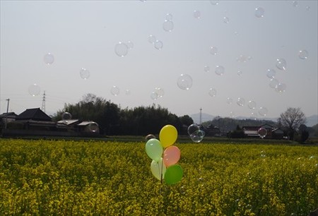 IMGP1732_0322