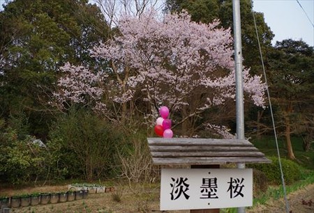 IMGP1937_0322
