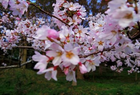 IMGP8689_0322