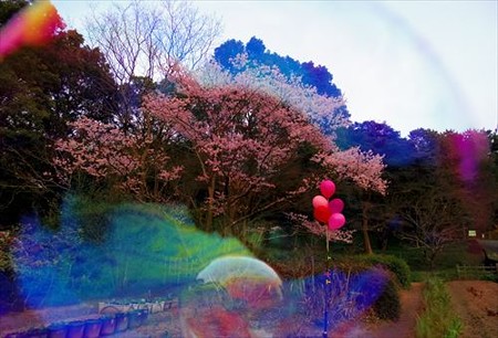 IMGP8798_0322