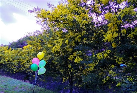 IMGP9287_0325