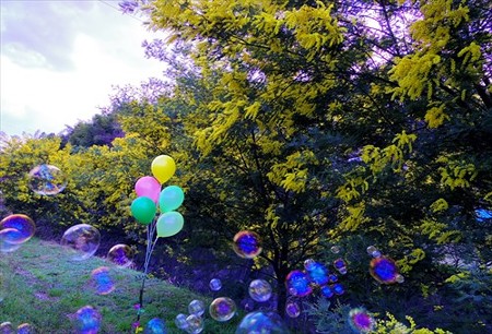 IMGP9317_0325