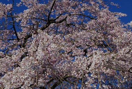 IMGP2168_0328