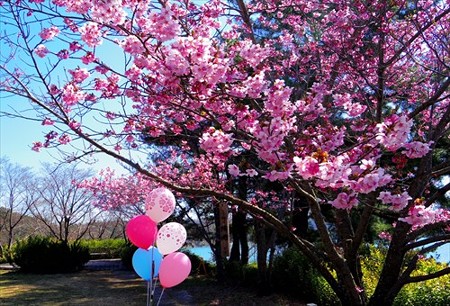 IMGP0430_0328